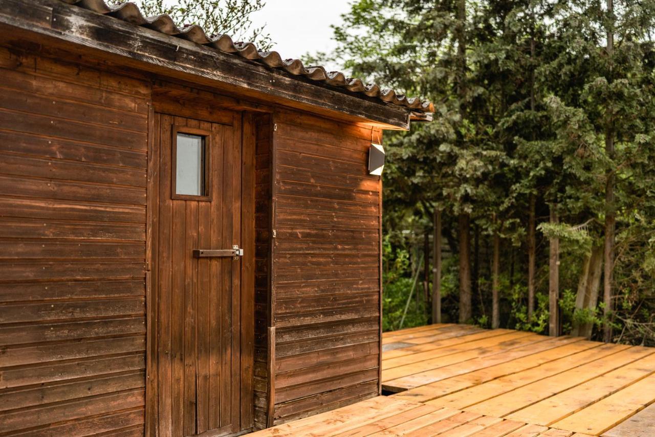 Die Entspannendste Wohnung Am Edersee - Spa Sauna Edertal 외부 사진